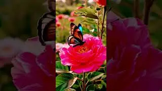 #butterfly #viral #trending #shorts #ai #kids #funny #ekmotahathi #hathiraja #hindirhymes