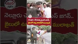 YS Jagan Meet Kakani Govardhan Reddy in Nellore Jail | #yuvagalam | #youtubeshorts | #shortsvideo