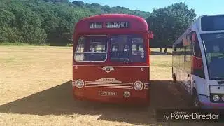 Vlog #15 | Heatwave at Shipley Bus Running Day (& taste test)