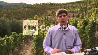 SPAIN: $1000 WINE TO HELP ECONOMIC CRISIS?