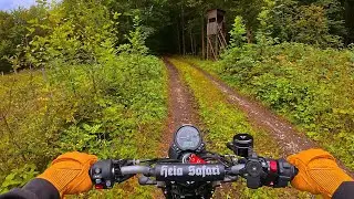 In the Wood - Triumph Scrambler 900 - pure Exhaust Sound - 4K