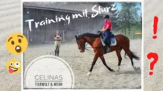 Dressurtraining mit Sturz 😲  | Rückblick meiner Reitanfänge 😜  | Celinas Tierwelt & mehr