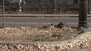 Strong winds have New Mexico agencies on high alert for fire threat