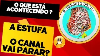 O Futuro da Acaraguto Discus