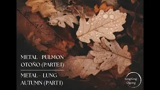 92.- Metal - Oto&ntilde;o - Pulm&oacute;n (parte I) / Metal - Autumn - Lung (part I) (m&aacute;s info en la descripci&oacute;n).