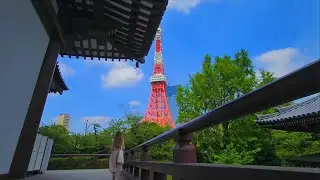 Every Song From PewDiePie's Japan Vlogs