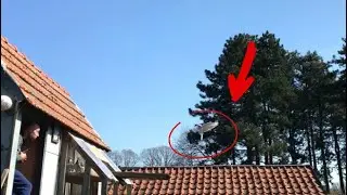 2021 Old Bird Race Arrivals Headwind | First 200km Race | Good Arrivals ( RACE 03 )