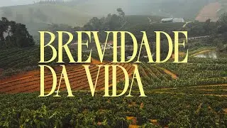 Sobre a brevidade da vida