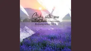 Southern France Countryside Birdsong Ambience, Pt. 1