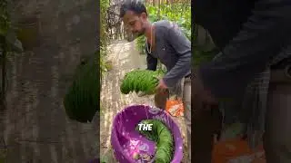 Amazing Fire Paan Making Process#shorts