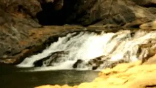 dandeli anshi camp.