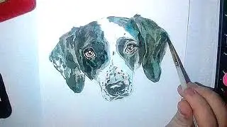 Pepper the Dog