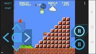 Mario hard level