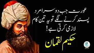 Hakeem Luqman ki Nasihatein|Danai ki batein|Golden Words in Urdu Hindi||Urdu quotes|aqwale zareen