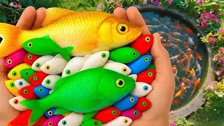 Catch colorful ornamental fish in a huge Easter egg: baby turtles,tiger barbs,lionhead goldfish, etc