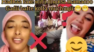 hadha faxee mamadoo irra dhukee kaste .😁🙆kormee intala akkasii malee