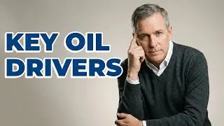 What Drives Crude Oil Prices?