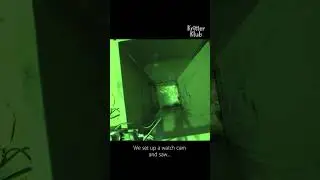 Rescue the kitten stuck under an air vent