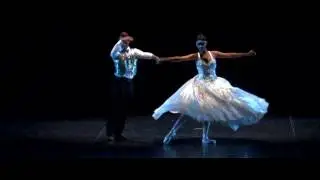 corpo de baile sonho de valsa- cisne negro