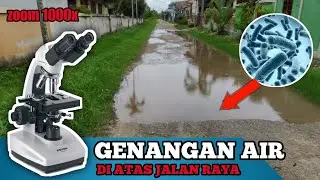 ZOOM 1000X‼️GENANGAN AIR DI ATAS JALAN RAYA | DENGAN MIKROSKOP