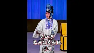 京剧 刘铮《望江亭》&ldquo;蒙师傅发恻隐把我怜念&rdquo;选段#京剧 #戏曲 #谁说戏曲不抖音 #望江亭 #刘铮
