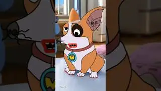 Funny Moco Dog 🐶😂|| #shorts #funny #mocodog #trending