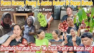PANEN JAMBU DALHARI JUMBO,KACANG PANJANG DAN PISANG || HASIL PANEN DI BAGI