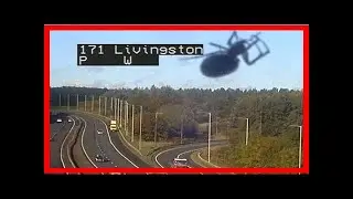 Breaking News | Traffic scotland warns of 'giant spider' above roadway