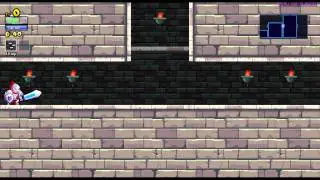 Rogue Legacy PC Gameplay HD 1080p