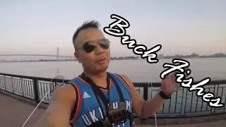 Detroit River Shore Fishing- Sept 1 2018 Labour day weekend start
