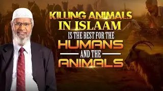 Killing Animals in Islam is the Best for the Humans and the Animals - Dr Zakir Naik