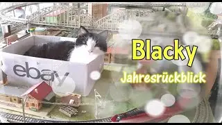 Fahrdienstleiter Blacky - Jahresrückblick 2025