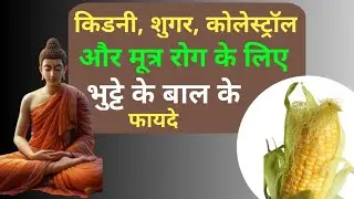 Corn Silk Benefits| भुट्टे के बालों से दूर करे पेट के रोग| Bhutte ke bal ke fayde 