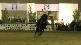 FieraCavalli 2012 Cimarosa e Oddo