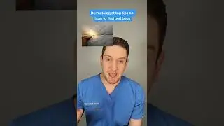 ДОКТОР объясняет: Как обнаружить постельных клопов: Советы по обнаружению постельных клопов дома ...