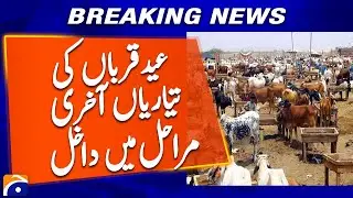 Eid ul Adha 2025: Cattle Market Sees Rush, Prices Slide in Final Days | Geo News