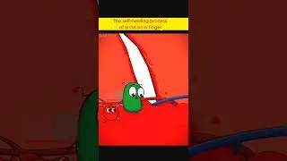 The self-healing process of a cut on a finger #animation #asmr #satisfying #shorts