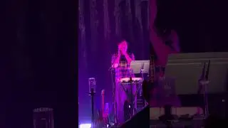 Grizzly bear 