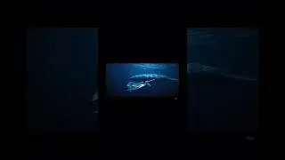 #Shorts):#ShortFilmVibes#VisualTrip#TrippyVisuals#Dreamcore#LoopVideo#AestheticShorts#ViralArtVideo