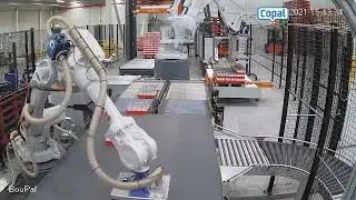 Container unloading palletizing wrapping - Cans on Trays
