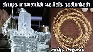ஸ்படிக மாலை அணிந்தால் பல அற்புதங்கள் நடக்கும் | BENEFITS OF SPHATIK MALA | Spadiga Malai | Aanmeegam