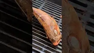#shorts Cooking Grouper on FIERY Grill. #howto #cooking