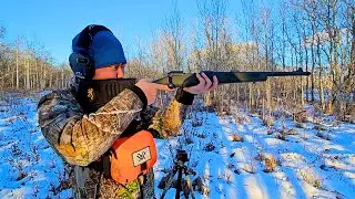 Первая стрельба из Savage 110 Hog Hunter Iron Sight (бюджетная винтовка Scout?)