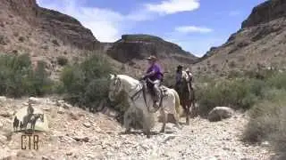 Horseback riding in Las Vegas with Cowboy Trail Rides