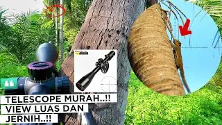 TELESCOPE BARU‼️LANGSUNG KITA BAWA KE SARANG🐿🦫🦫🐿