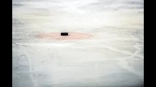 2019-02-09 - Cardiff Devils v Coventry Blaze - Pride Night