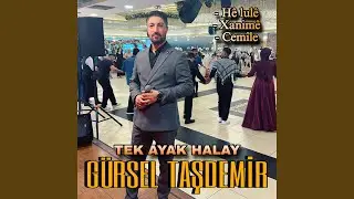 K&Ucirc;RT&Ccedil;E TEK AYAK HALAY 2025