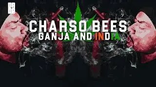 CHARSO BEES -  Cannabis & India | Dade