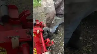 The Trimax Flail Mower