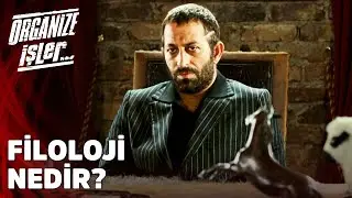 Filoloji Nedir? - Organize İşler